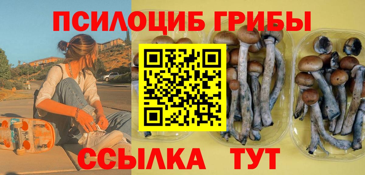 Псилоцибиновые грибы прущие грибы  Вход с VPN  Зеленогорск 